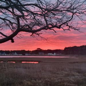 Photo #53 of 6309 HIGHLAND PARK DR, CHINCOTEAGUE, VA 33.0 acres