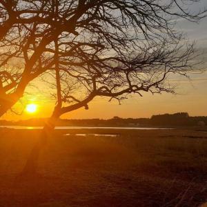 Photo #54 of 6309 HIGHLAND PARK DR, CHINCOTEAGUE, VA 33.0 acres