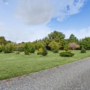 Photo #55 of 19072 MINK FARM RD, ONANCOCK, VA 2.7 acres