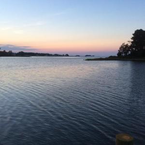 Photo #80 of 19072 MINK FARM RD, ONANCOCK, VA 2.7 acres