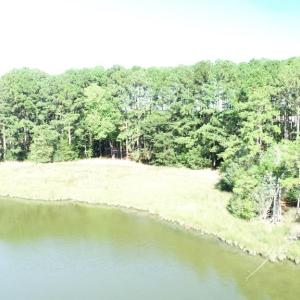 Photo #21 of 10450 PHEASANT RUN DR, EXMORE, VA 1.2 acres