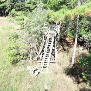 Photo #43 of 10450 PHEASANT RUN DR, EXMORE, VA 1.2 acres