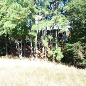 Photo #29 of 10450 PHEASANT RUN DR, EXMORE, VA 1.2 acres