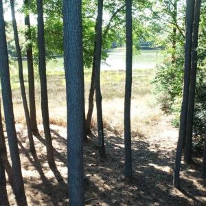 Photo #34 of 10450 PHEASANT RUN DR, EXMORE, VA 1.2 acres