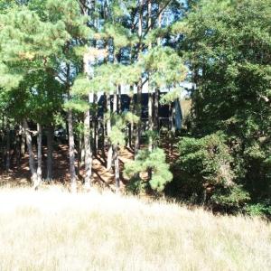 Photo #28 of 10450 PHEASANT RUN DR, EXMORE, VA 1.2 acres