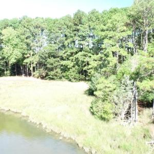 Photo #31 of 10450 PHEASANT RUN DR, EXMORE, VA 1.2 acres