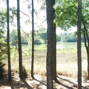 Photo #35 of 10450 PHEASANT RUN DR, EXMORE, VA 1.2 acres