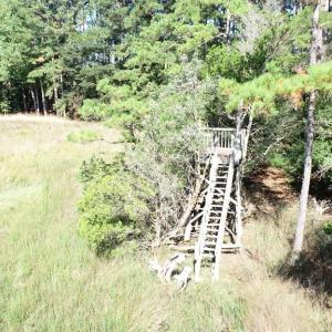 Photo #44 of 10450 PHEASANT RUN DR, EXMORE, VA 1.2 acres