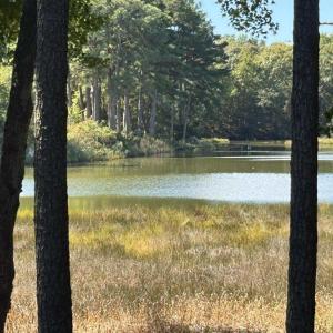 Photo #48 of 10450 PHEASANT RUN DR, EXMORE, VA 1.2 acres