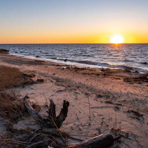 Photo #40 of 8140 WAYNE DR, SAXIS, VA 1.0 acres