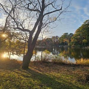 Photo #3 of 11 PARKER ST, ONANCOCK, VA 2.5 acres