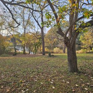 Photo #55 of 11 PARKER ST, ONANCOCK, VA 2.5 acres