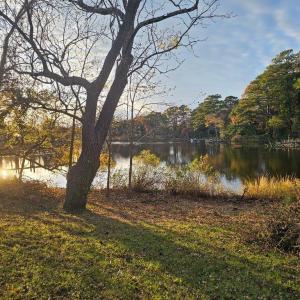 Photo #2 of 11 PARKER ST, ONANCOCK, VA 2.5 acres