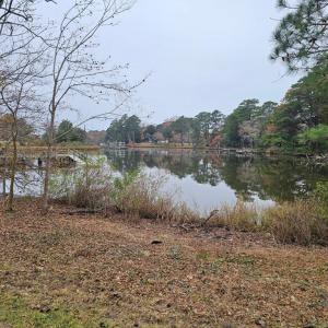 Photo #58 of 11 PARKER ST, ONANCOCK, VA 2.5 acres