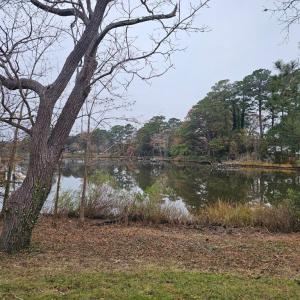 Photo #59 of 11 PARKER ST, ONANCOCK, VA 2.5 acres