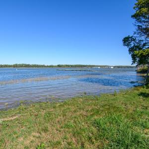 Photo #42 of 35257 CATS POINT LANE, QUINBY, VA 9.5 acres