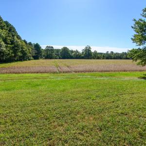 Photo #53 of 35257 CATS POINT LANE, QUINBY, VA 9.5 acres