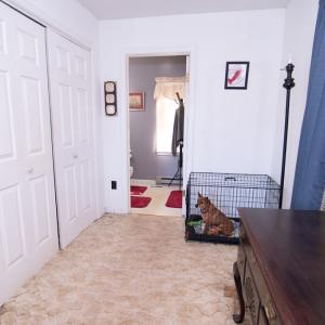 Photo #40 of 35257 CATS POINT LANE, QUINBY, VA 9.5 acres