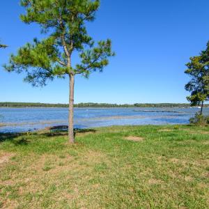 Photo #45 of 35257 CATS POINT LANE, QUINBY, VA 9.5 acres