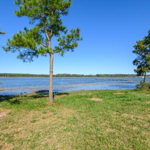 Photo #55 of 35257 CATS POINT LANE, QUINBY, VA 9.5 acres