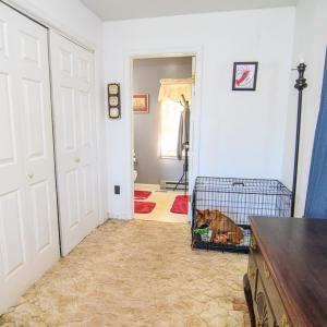 Photo #38 of 35257 CATS POINT LANE, QUINBY, VA 9.5 acres