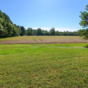 Photo #44 of 35257 CATS POINT LANE, QUINBY, VA 9.5 acres