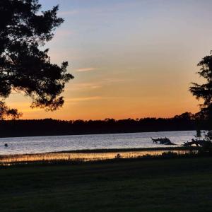 Photo #5 of 35257 CATS POINT LANE, QUINBY, VA 9.5 acres