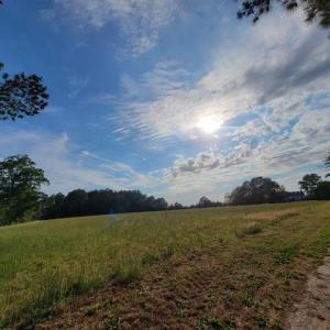 Photo #69 of 35257 CATS POINT LANE, QUINBY, VA 9.5 acres