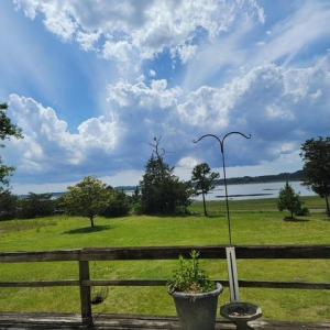 Photo #70 of 35257 CATS POINT LANE, QUINBY, VA 9.5 acres