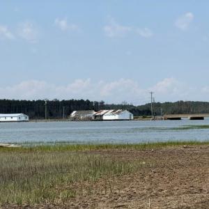 Photo #78 of 35257 CATS POINT LANE, QUINBY, VA 9.5 acres