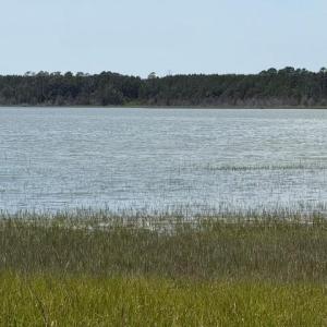 Photo #80 of 35257 CATS POINT LANE, QUINBY, VA 9.5 acres