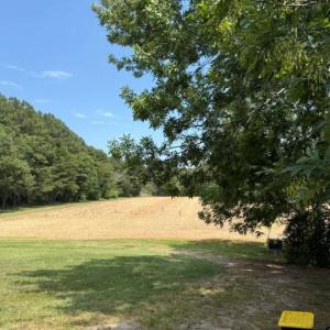 Photo #96 of 35257 CATS POINT LANE, QUINBY, VA 9.5 acres