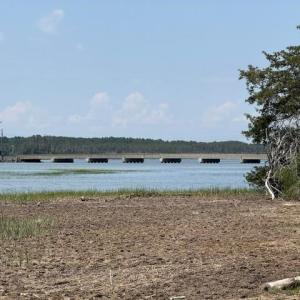 Photo #79 of 35257 CATS POINT LANE, QUINBY, VA 7.0 acres