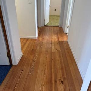 Photo #93 of 35257 CATS POINT LANE, QUINBY, VA 7.0 acres