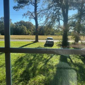 Photo #22 of 32168 BOSTON RD, PAINTER, VA 2.0 acres