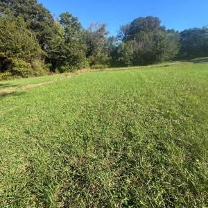 Photo #4 of 32168 BOSTON RD, PAINTER, VA 2.0 acres