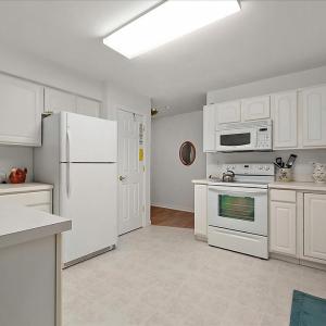 Photo #14 of 3896 CAPTAINS CORRIDOR, GREENBACKVILLE, VA 0.2 acres