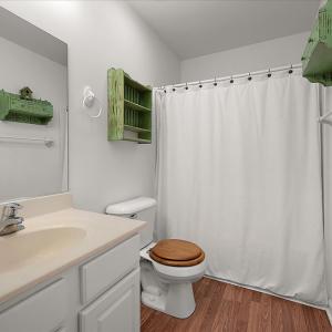 Photo #21 of 3896 CAPTAINS CORRIDOR, GREENBACKVILLE, VA 0.2 acres