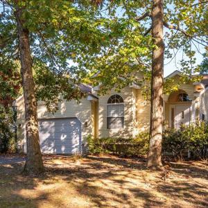 Photo #48 of 3896 CAPTAINS CORRIDOR, GREENBACKVILLE, VA 0.2 acres