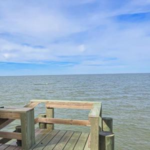 Photo #6 of 10016 WESTERHOUSE RD, MACHIPONGO, VA 6.2 acres