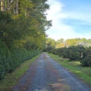 Photo #51 of 10016 WESTERHOUSE RD, MACHIPONGO, VA 6.2 acres