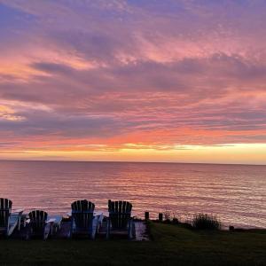 Photo #4 of 10016 WESTERHOUSE RD, MACHIPONGO, VA 6.2 acres