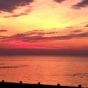 Photo #52 of 10016 WESTERHOUSE RD, MACHIPONGO, VA 6.2 acres