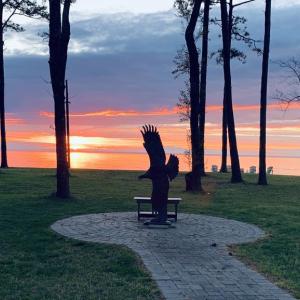 Photo #28 of 10016 WESTERHOUSE RD, MACHIPONGO, VA 6.2 acres