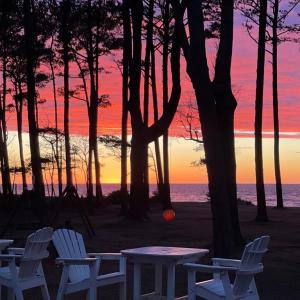 Photo #42 of 10016 WESTERHOUSE RD, MACHIPONGO, VA 6.2 acres