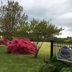 Photo #50 of 10016 WESTERHOUSE RD, MACHIPONGO, VA 6.2 acres