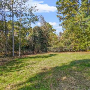 Photo #51 of Lot 493 DRY DOCK CT, GREENBACKVILLE, VA 75.0 acres