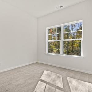 Photo #43 of 2497 DRY DOCK CT, GREENBACKVILLE, VA 75.0 acres