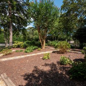 Photo #10 of 4375 WHITE TAIL LANE, MACHIPONGO, VA 341.0 acres