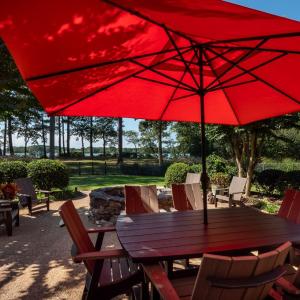 Photo #11 of 4375 WHITE TAIL LANE, MACHIPONGO, VA 341.0 acres